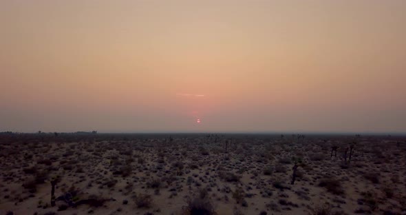 Flying low and fast over Joshua tree landscape during a red and purple sunrise