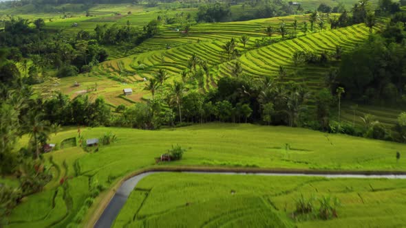 Flying Over Terraced Rice Paddies In Bali.