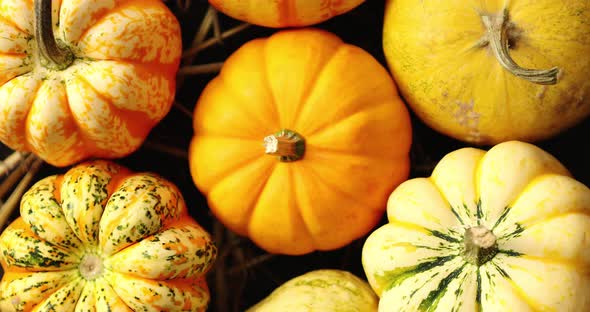 Heap of Yellow Pumpkins