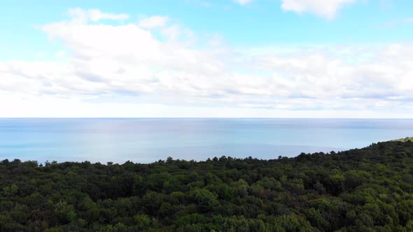 Aerial footage over forest toward blue water of Lake Huron