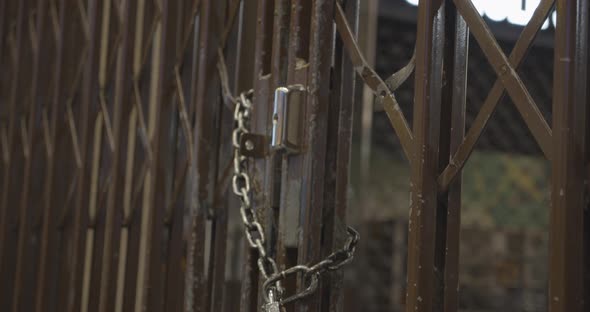 Iron lattice door locked with metal chain and padlock.