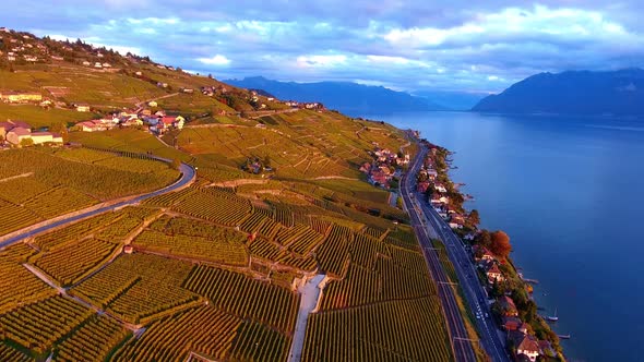 Orange autumn colors over Lavaux vineyard, Switzerland at sunsetLake Léman and the Alps in the back