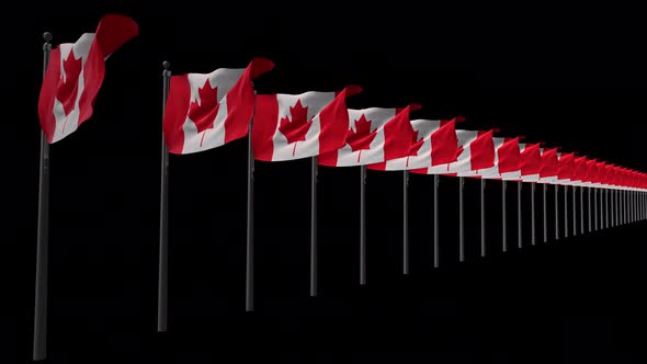 Row Of Canada Flags With Alpha 4K