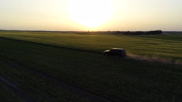 Car Off-roading on Lanes at Summer Sunset