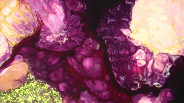 Psychedelic Spreading Paint Swirling And Explosion alt