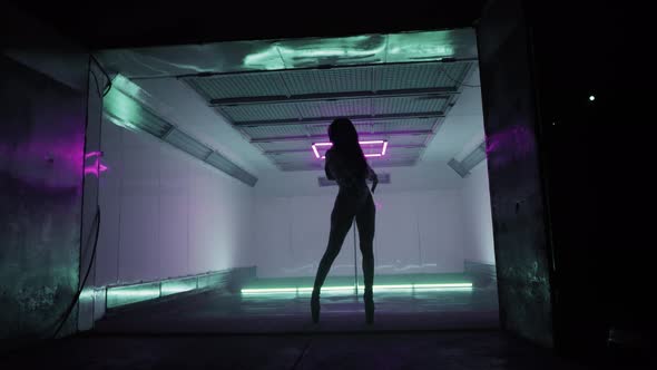 Pole Dance Silhouette