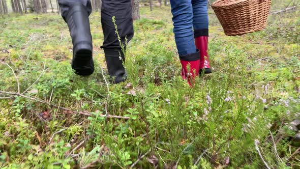 Dad and Daughters Feet Legs Walking Through the Woods in Rubber Boots with Basket of Mushrooms