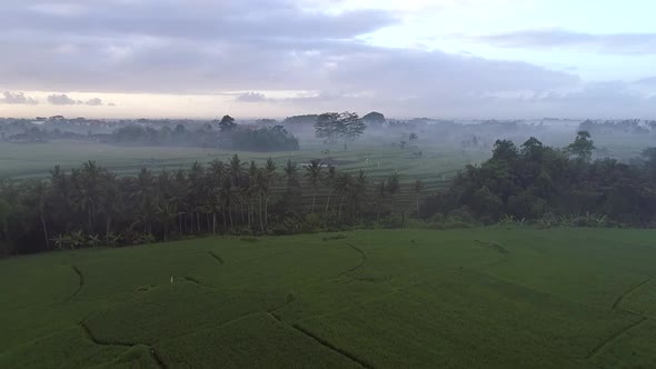 Aerial view of agricultural land in the countryside, Bali, Indonesia.