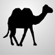 Camel Walkcycle - VideoHive Item for Sale