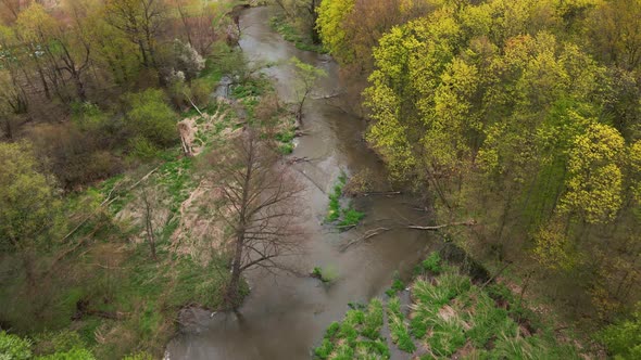 Aerial View of Spring River in the Middle of Green Forest