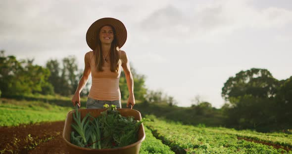 Farmer pushing wheelbarrow alt