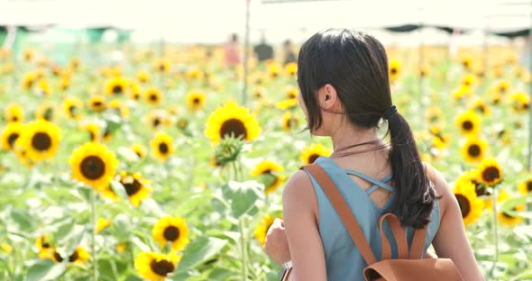 Woman looking at the sunflower farm