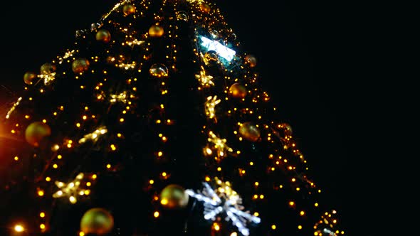 Frame in Motion Against the Background the Night City Fir Tree Decorated with Many Winter Lights