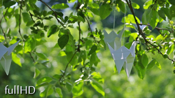 Origami Cranes in Garden