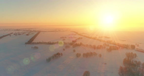 Aerial Drone View of Cold Winter Landscape with Arctic Field, Trees Covered with Frost Snow and