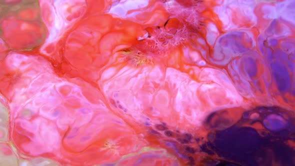 Abstract Paint Colours Diffusion 