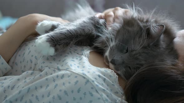 Gray Cat Sleeps on the Girl’s Neck