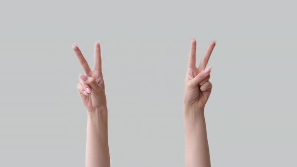 Peace Gesture Victory Celebration Hands v Sign