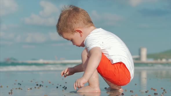 Little Child Plays Near the Sea