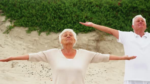 Senior couple performing yoga