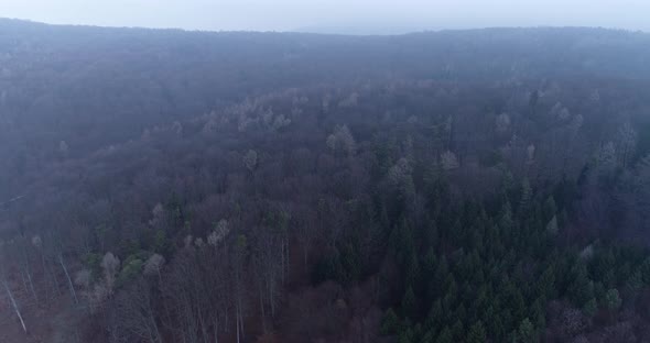 Aerial view of Wiener Woods with morning mist, Biosphere Reserve
