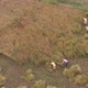 Famers working in agricultural fields, Mayapur, India. 4k aerial  - VideoHive Item for Sale