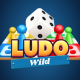 Ludo Wild - Ludo Game Android Studio Project with AdMob Ads + Ready to Publish - CodeCanyon Item for Sale