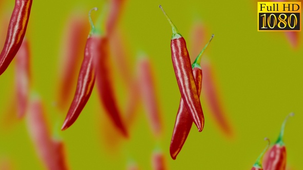 Red Hot Pepper Background Loops Pack V1