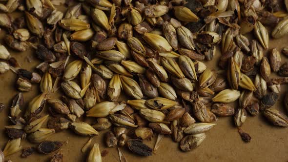 Rotating shot of barley and other beer brewing ingredients - BEER BREWING 071