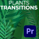 Plants Transitions - VideoHive Item for Sale