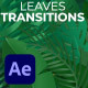 Leaves & Flowers Transitions - VideoHive Item for Sale