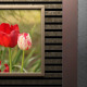 Picture Frame Set Pastel - GraphicRiver Item for Sale