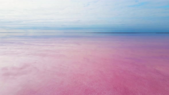 Smooth Surface of Colorful Pink Lake at Cloudy Sunrise with Wind Farm on Background