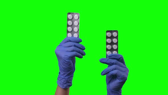 Female Hands in Protective Blue Gloves Closeup at Green Screen