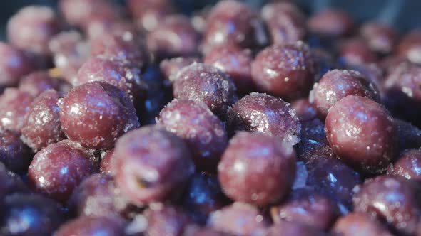 Fresh Frozen Cherry Closeup. Rotates. On Berries, Pieces of Ice and Frost