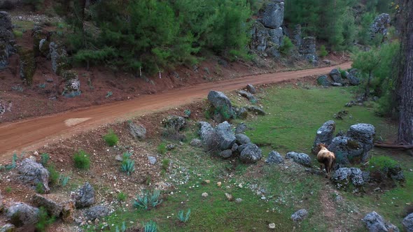 Aerial View of Rural Road Along Rocks and Green Pasture