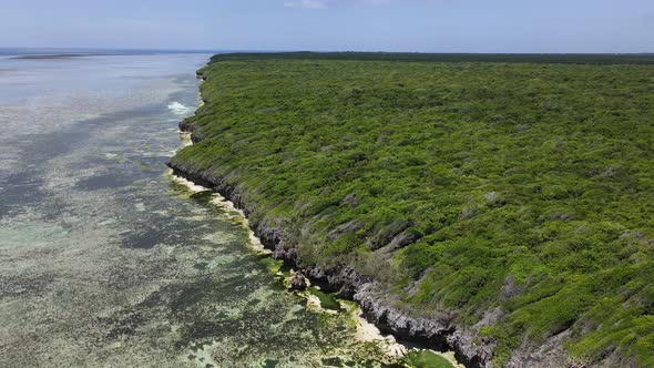 Coast of Zanzibar Island Tanzania Covered with Thickets