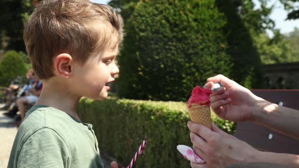 mother feeds a little boy ice cream with a spoon