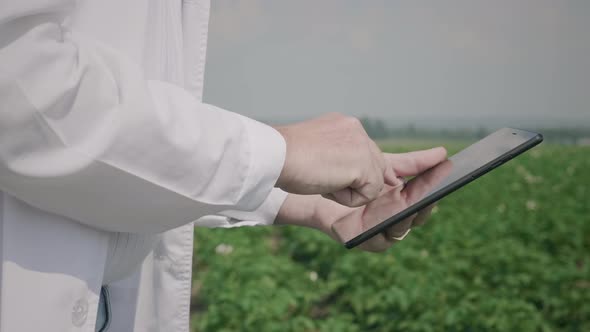 Scientist use digital tablet