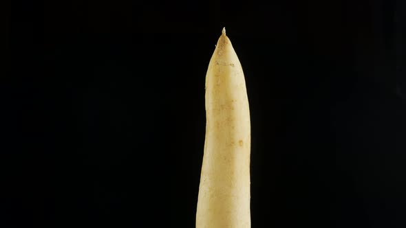 White daikon radish