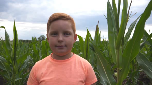 Close Up of Young Red-haired Boy Looking Into Camera Against the Background of Corn Field at Organic