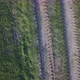 Endless Rows of Crop on a Farmland Aerial Drone Shot - VideoHive Item for Sale