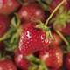 Ripe Strawberry On The Background Of A Rotating Berry. - VideoHive Item for Sale