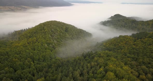 Aerial View To the Foggy Morning Carpathian Forest in Ukraine