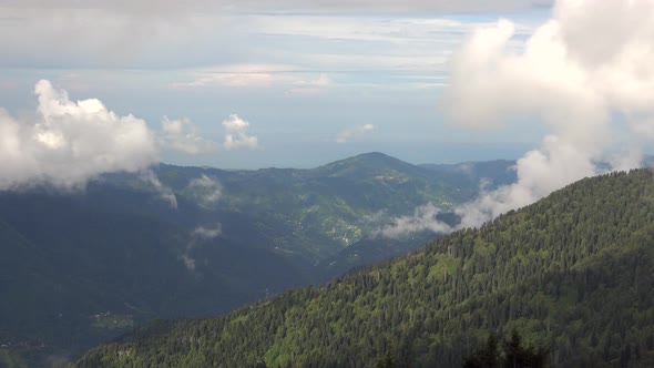 Cloud Condensation With Sweating in Moist Forest