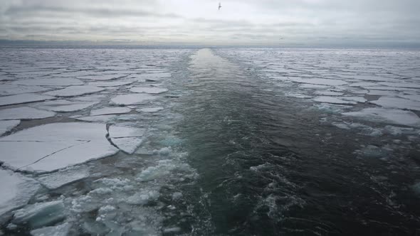 The Trail of the Ship in the Ice