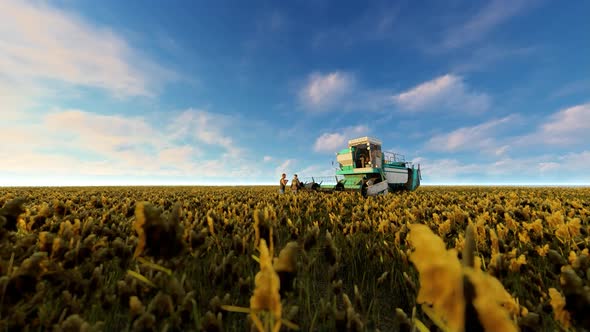 Harvester And Agriculture