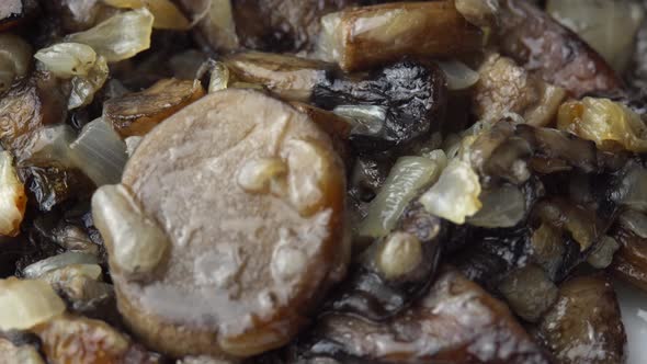 Wild Mushrooms Fried with Onions Mushrooms Fried with Onions Rotate on a Plate As a Background for