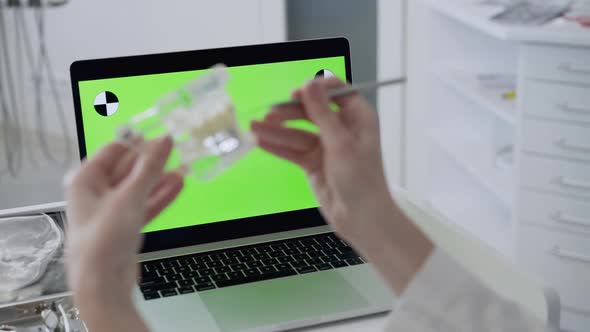 Dentist Conducts Online Consultation at Laptop with Green Screen Using Human Jaw