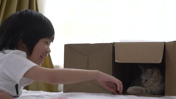 Cute Asian Child Playing With A Kitten At Home